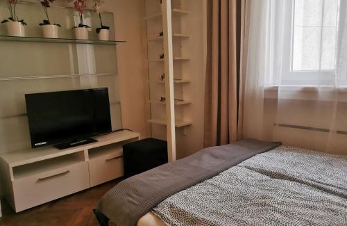 Lagymanyos Apartment | Liberty Bridge Zenta
