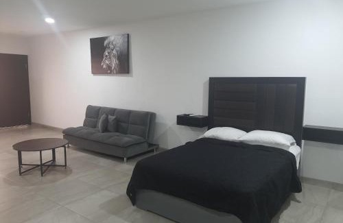 Luis Donaldo Colosio Apartment | Life