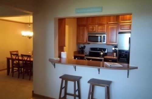 Ludington Condo | Lighthouse Watch from Top Floor at One Ludington Place