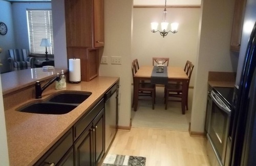 Ludington Condo | Lighthouse Watch from Top Floor at One Ludington Place