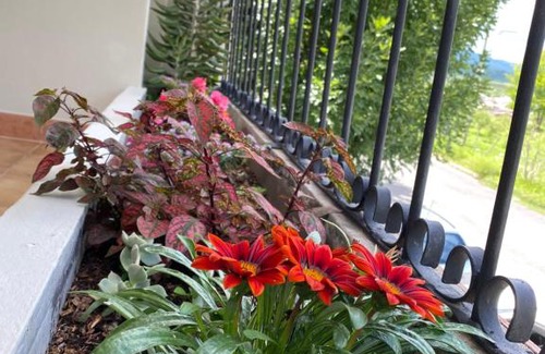 Salta Apartment | Like Home