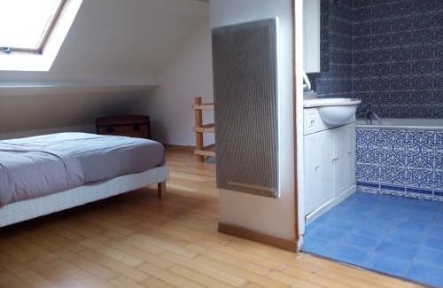 Vauban - Wazemmes Apartment | Lille Wazemmes Grand Duplex lumineux prox métro