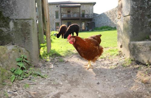 Saint-Julien-Labrousse Apartment | Lilodahu Gite et animaux rigolos
