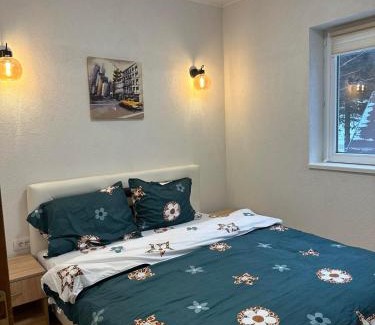 Kopaonik Apartment | Lily Apartmani Brzece