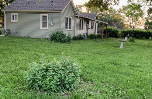 North Central Omaha Cottage | Lily's Cozy Cottage, a quiet corner to unwind, and 20 minutes to everything.