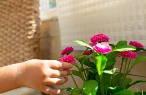 Corralejo Apartment | Lima waikiki beach