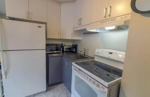Vieux-Limoilou Apartment | Limoilou 4 Guests AC Free Parking 5 min DT