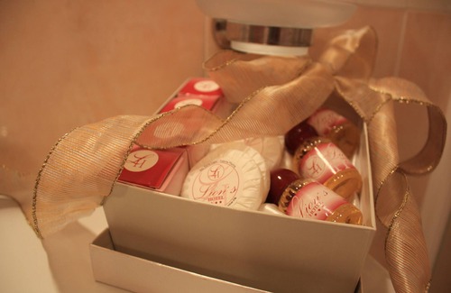 Falerna Hotel | Lion's Hotel