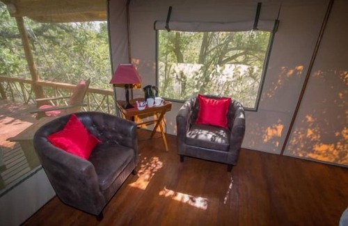 Thorny Bush Game Reserve Other | Lion Tree Top Lodge