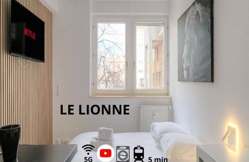 Gerland Apartment | Lionne-Stade du Lou