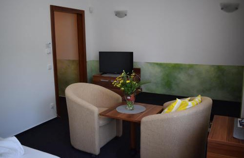 Frymburk Apartment | Lipno-Apartmán Frymburk D110