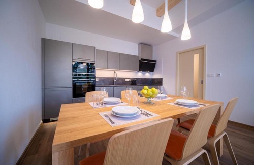 Lipno nad Vltavou Apartment | Lipno Port Apartment C303 - Lipno Home