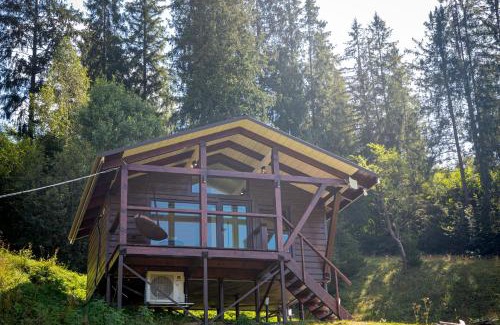 Slavske Hotel | Lisoviy Zatyshok, z vidkrutum litnim baseynom,чан-джакузі