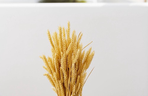 Agios Ioannis Apartment | Lithos by Spyros & Flora