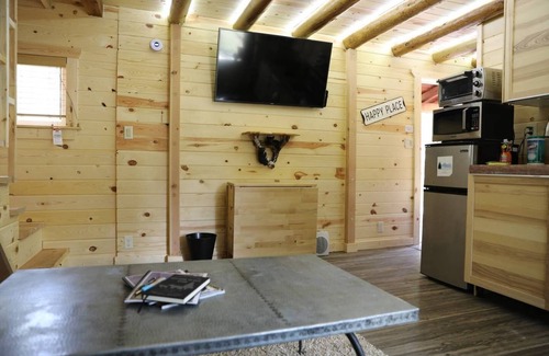 Island Park Cabin | Little Chalet in the Forest - Year Round