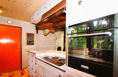 Middletown Cabin | Little Falling Water - Mid-Mod Masterpiece