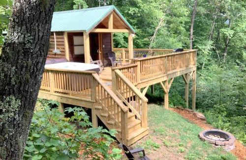 Bryson City House | Little Goldies