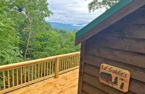 Bryson City House | Little Goldies