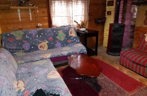 Bajina Basta Cabin | Little heaven 2
