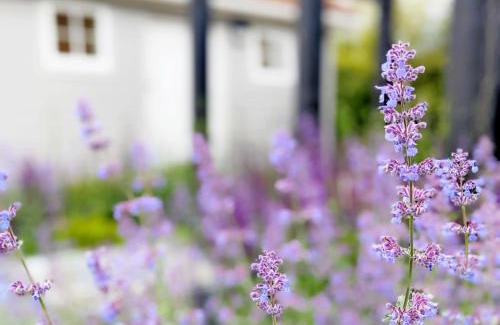 Tangmere House | Little Maplewood, Tangmere