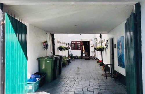 Dawlish House | Little Mermaid Cottage