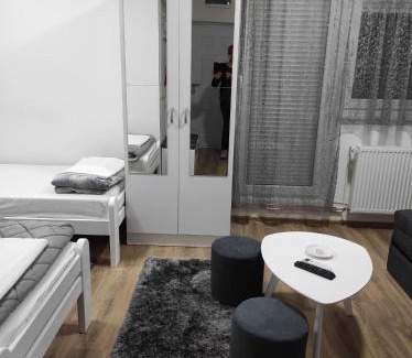 Banja Koviljaca Apartment | Ljeskovac
