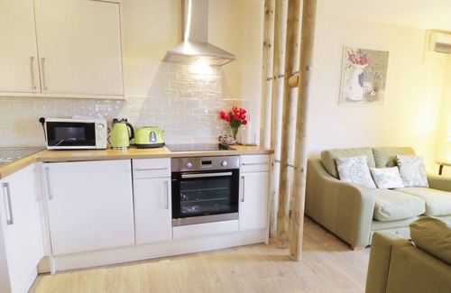Aberystwyth Cabin | LLEWELYN LODGE, with a garden in Aberystwyth