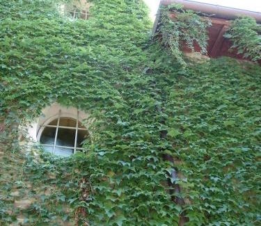 Savigno Bed & Breakfast | Locanda Amerigo