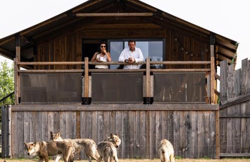 Sury-aux-Bois Cabin | Lodges insolites chez RDV en Terre Animale
