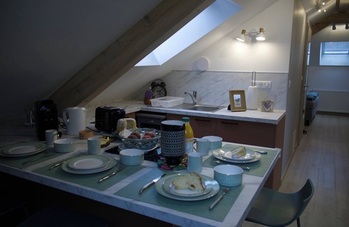 Kaysersberg-Vignoble Apartment | Lodging under the castle of Kaysersberg.10mn from the Christmas market Free parking