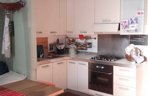 Vanchiglietta Apartment | Loft Andorno