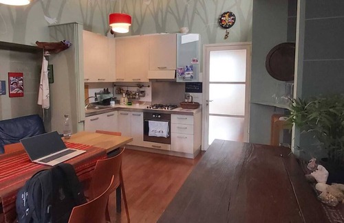 Vanchiglietta Apartment | Loft Andorno