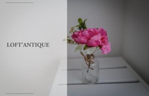 Crimolois Apartment | Loft antique