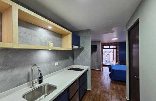 Monterrey Centro Apartment | Loft Barrio Vergel