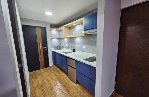 Monterrey Centro Apartment | Loft Barrio Vergel
