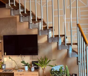 Cremona Apartment | Loft Dei Lupi 260m dal Duomo FreeParking