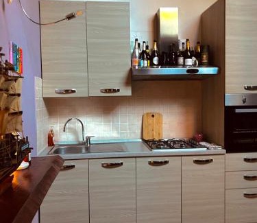 Cremona Apartment | Loft Dei Lupi 260m dal Duomo FreeParking