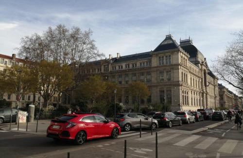 Lyon City Centre House | Loft ViaRhôna, Grand loft en Centre-Ville