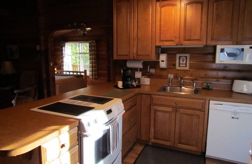 Langley Cabin | Log Cabin on 6 beautiful acres.