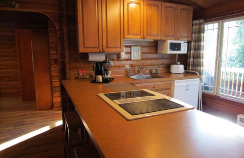 Langley Cabin | Log Cabin on 6 beautiful acres.