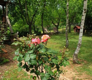 Belgrade House | Log cabin