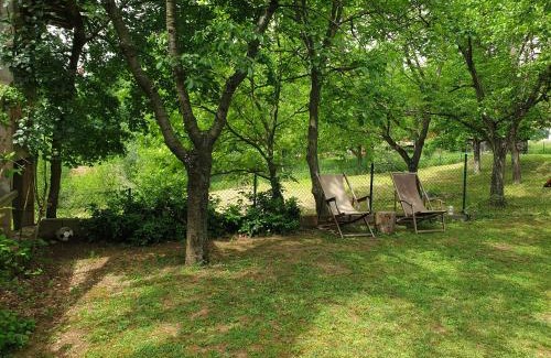 Belgrade House | Log cabin