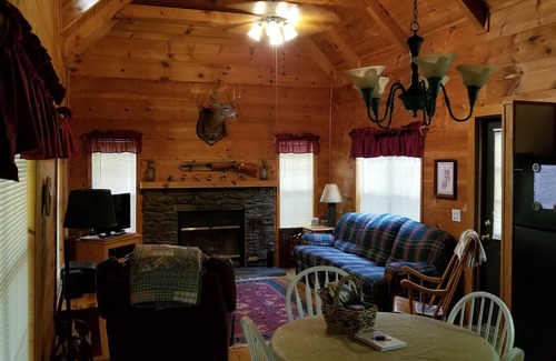 Cedar Mountain Cabin | Log Cabin, Trout Pond on 17 Acres, Near Dupont State Forest, very private