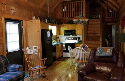 Cedar Mountain Cabin | Log Cabin, Trout Pond on 17 Acres, Near Dupont State Forest, very private