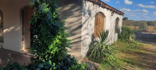 Pedro Vargas House | Loma Bonita