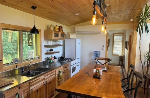 Scottsburg Cabin | Lone Birch Cabin in Dansville NY