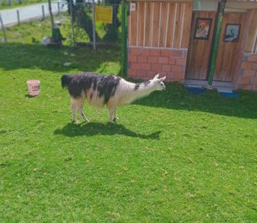 Murillo Hotel | Los Frailejones