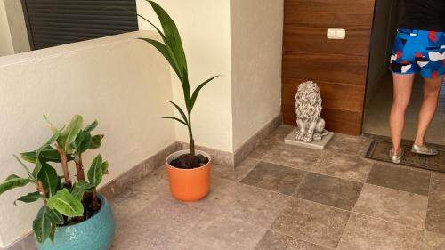Marbella Apartment | Los Monteros Hill Club Marbella