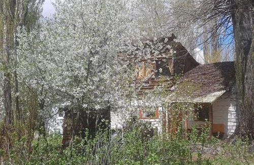 Loncopue Department Ski Chalet | Los Riscos Antigua Cabaña Toba