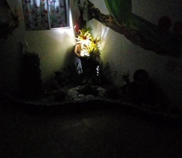 Salento House | Los Tres Leones